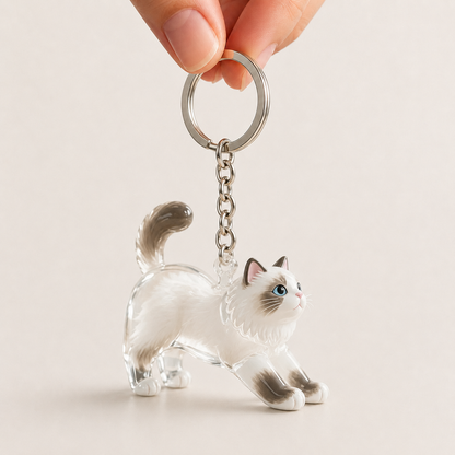 Pawmi - Gatito