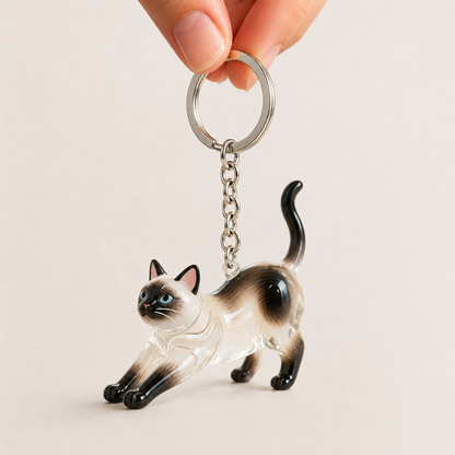 Pawmi - Gatito