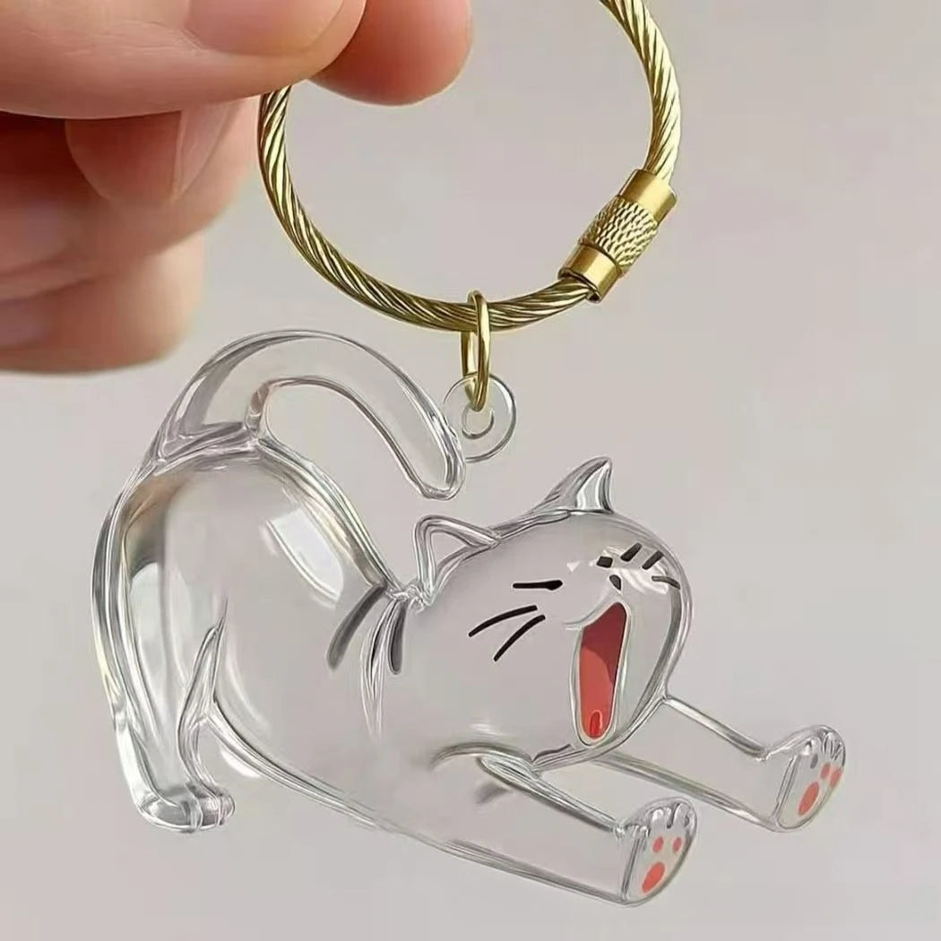 Pawmi - Gatito